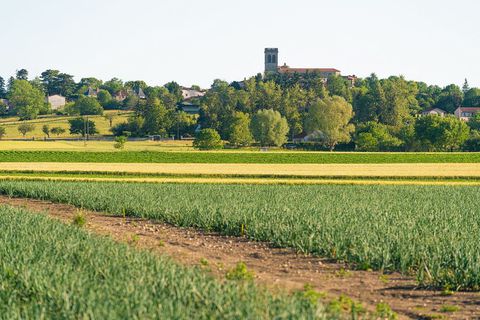 Paysage