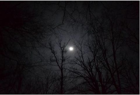05_25vol_crepuscule-20656443.jpg