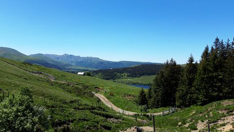 Pâturages du lac de Guéry