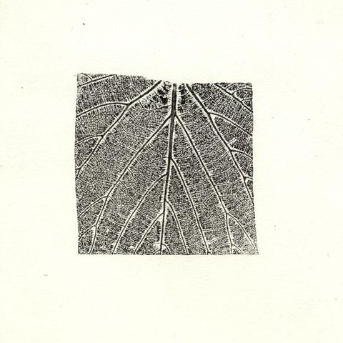 06_06_impressionsvegetales-21237882.jpg