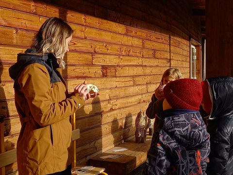 10_19_animaux-13302519.jpg
