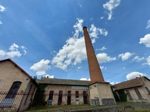 20220825_145131-20332046.jpg