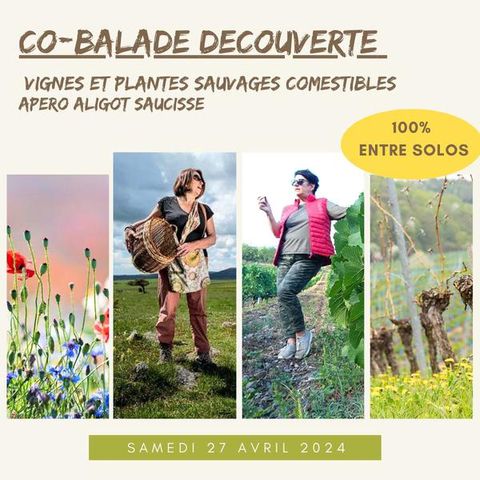 BALADE CELIBATAIRE LIKEDIN (7)-20921839.jpg