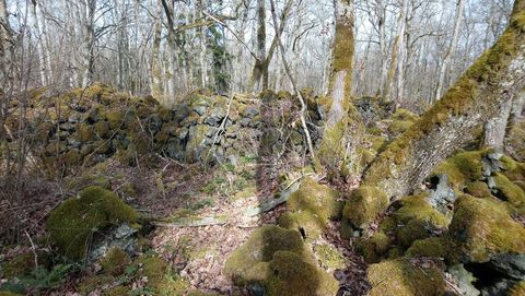 Camp des Chazaloux