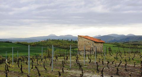 Côtes de Madargues-20755705.jpg