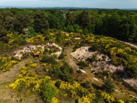 DUNES-DES-GIRAUDS-FAURES-DRONE-FLORIAN-BOMPAN-5-450x337-16399438.jpg