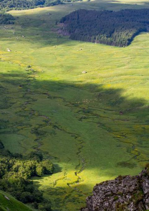 La_Vallee_de_la_fontaine_salee-OT_Sancy-9075-1920px-20266896.jpg