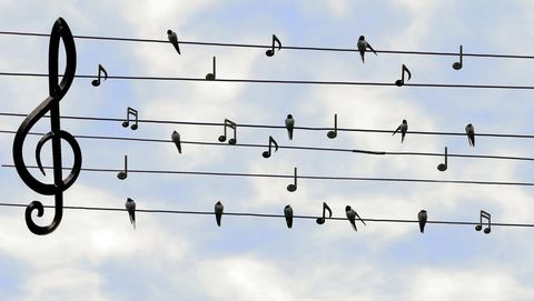 Musique Concert@pixabay-20836403.jpg