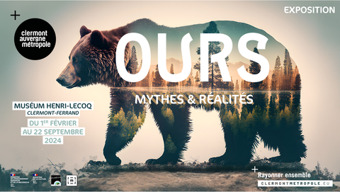 Ours, mythes et réalités