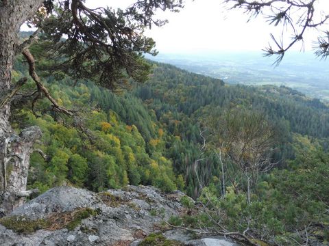 P1100896-18886731.jpg