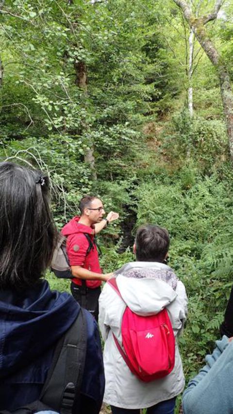 P8010168-20454595.jpg