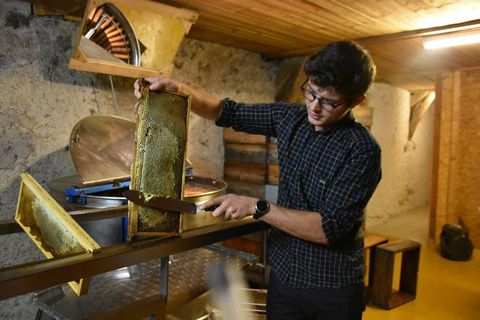 Ruche-des-Puys_Saint-Ours-les-Roches_Ruche-des-Puys (8)-12770740.jpg
