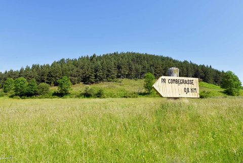 cd63-Combegrasse-5645169.jpg