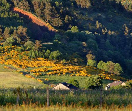 Puy de Combegrasse