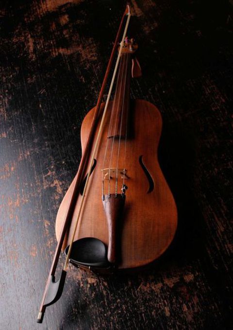 wa-Violon DR Pixabay-18023001.jpg