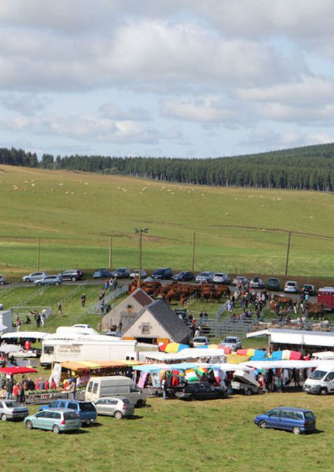 wa-foire-brion-5610067.jpg