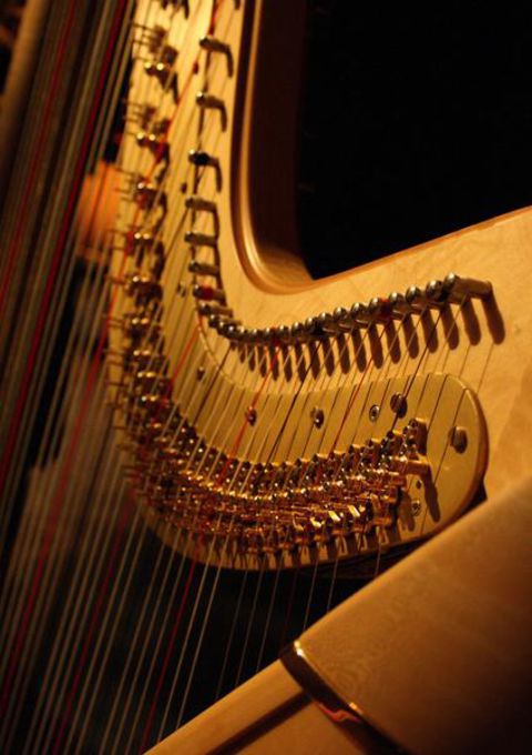 wa-harpe-21217973.jpg