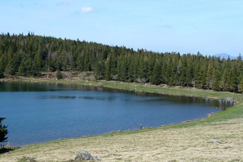 wa-servieres-1-21369990.jpg
